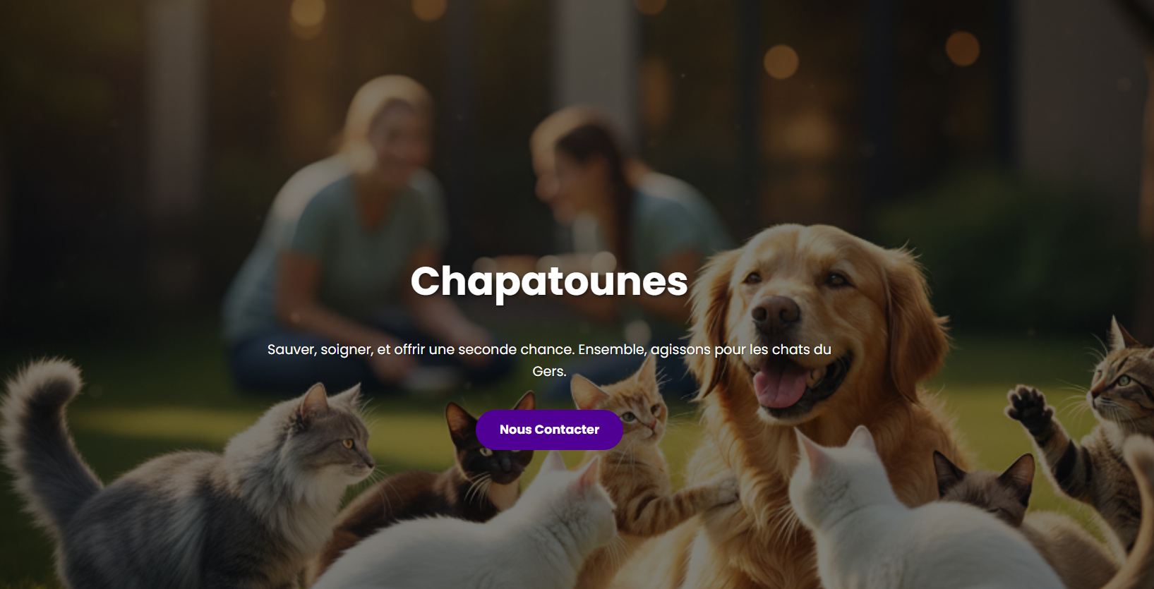 Capture d'écran du site web de l'association Chapatounes 